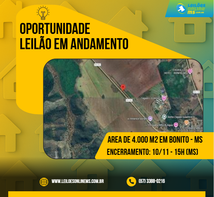 LEILÃO - LEILÕES ONLINE MS